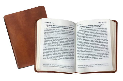 DAILY LIGHT - inside and cover - TAN